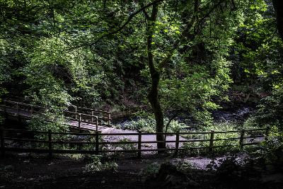 The Glen Walks, Rouken Glen park